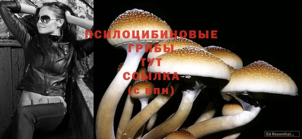 соль ск Протвино