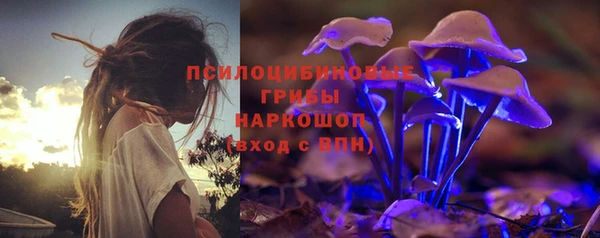 тгк Бородино