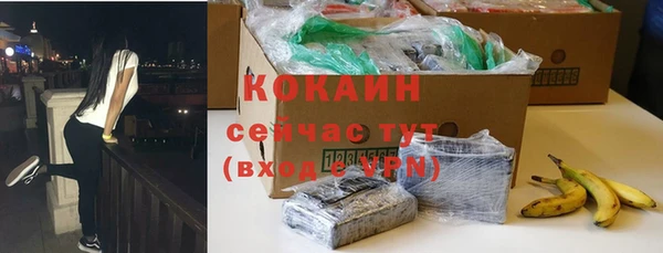 шишки Приозерск