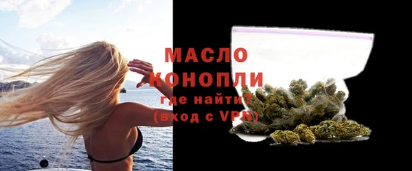 тгк Бородино