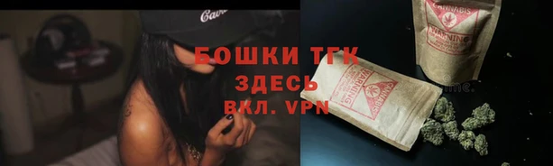 шишки Приозерск