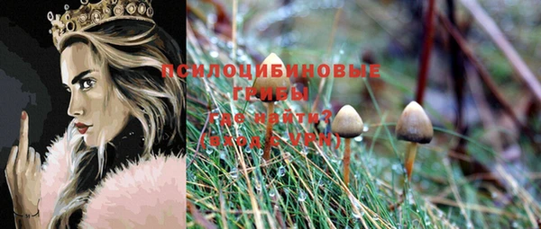 соль ск Протвино