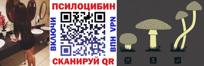 Псилоцибиновые грибы Psilocybine cubensis  Купить закладки  Белая Холуница 